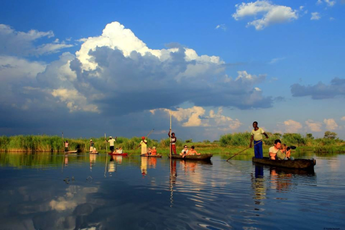 Private Island in the middle of the Okavango Delta 006